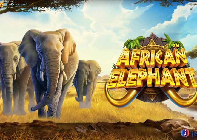 Jelajahi Dunia Slot Gacor Maxwin dengan Slot African Elephant