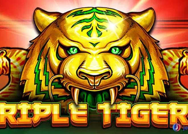 Ruby8000 Login Bikin Main Triple Tigers Pasti Makin Gacor