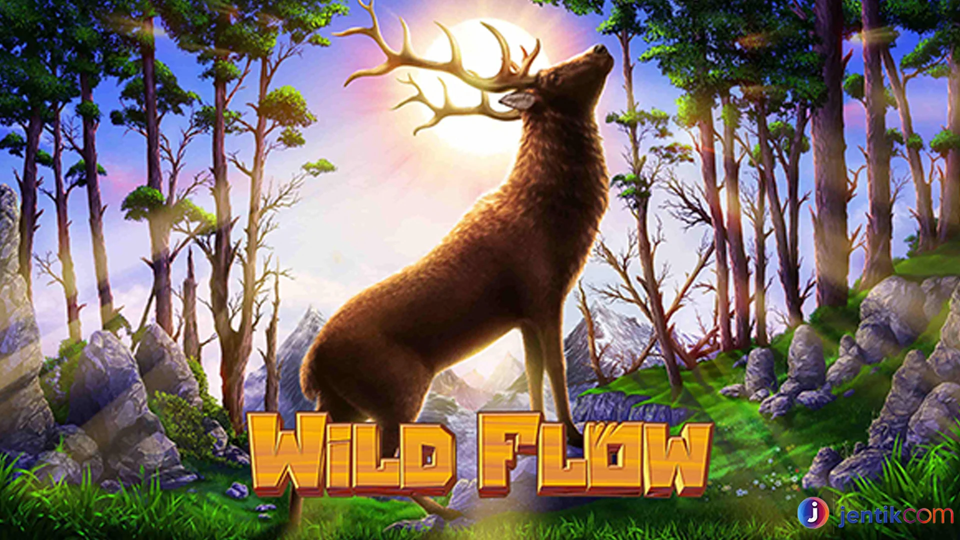 Jadi Explorer Handal! Ternyata Segini Misterinya Wild Flow