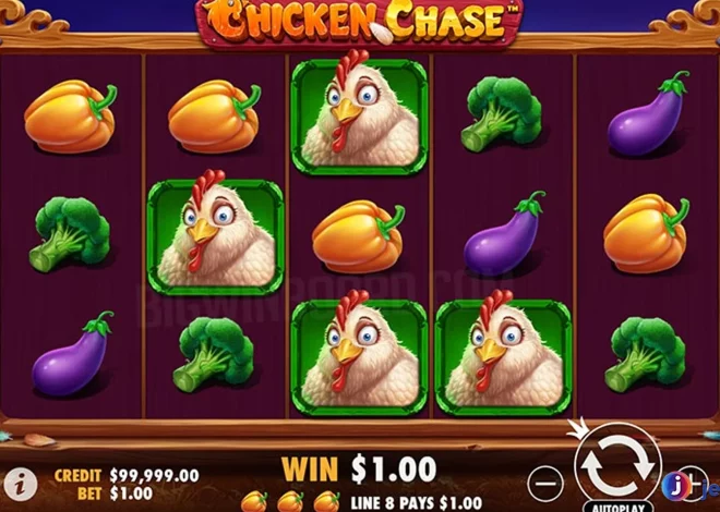 Bukan Ayam Biasa! 5 Kejadian Kocak Chicken Chase Bikin Ngakak